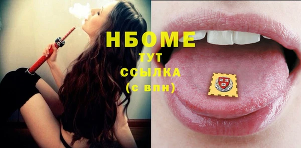 сатива Волоколамск