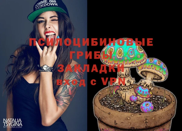 дурь Волосово